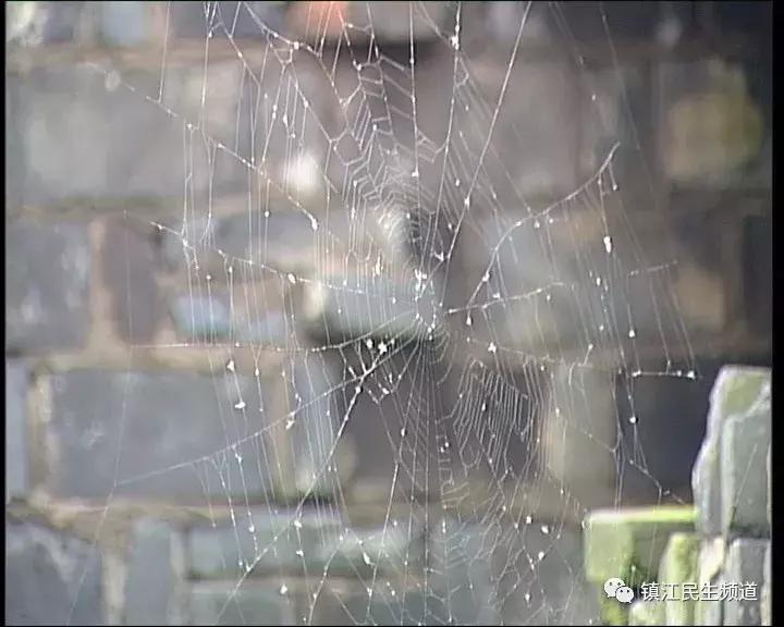 *兽禽**不如!镇江43岁男子强奸12岁女孩,还是自己女儿的同学!