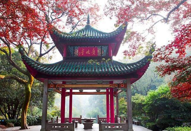 读古诗山行的诗意,山行的读书感悟