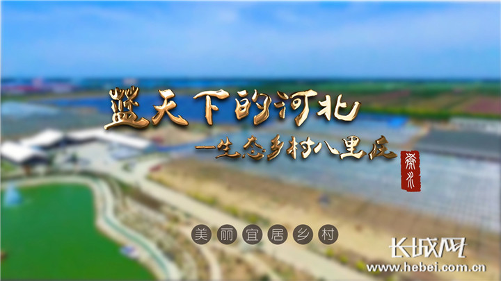 农村人居环境整治画卷,乡村环境整治中一宅变四园