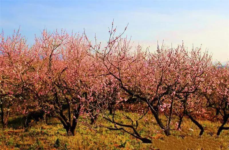 昆明国庆假期自驾游攻略,五一昆明最适合去的地方