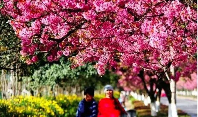 昆明国庆假期自驾游攻略,五一昆明最适合去的地方