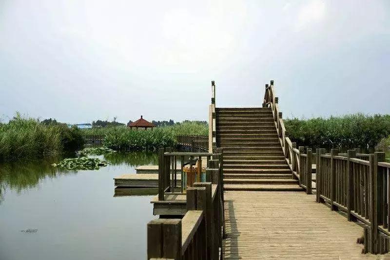 昆明国庆假期自驾游攻略,五一昆明最适合去的地方