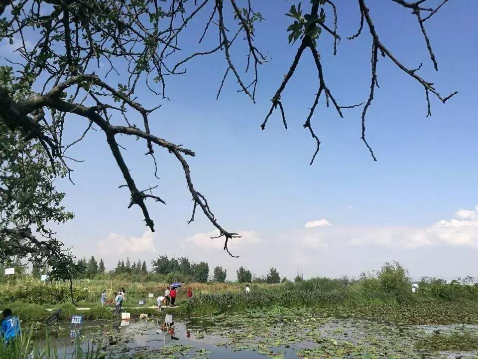 昆明国庆假期自驾游攻略,五一昆明最适合去的地方