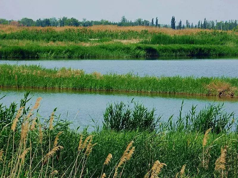 昆明国庆假期自驾游攻略,五一昆明最适合去的地方