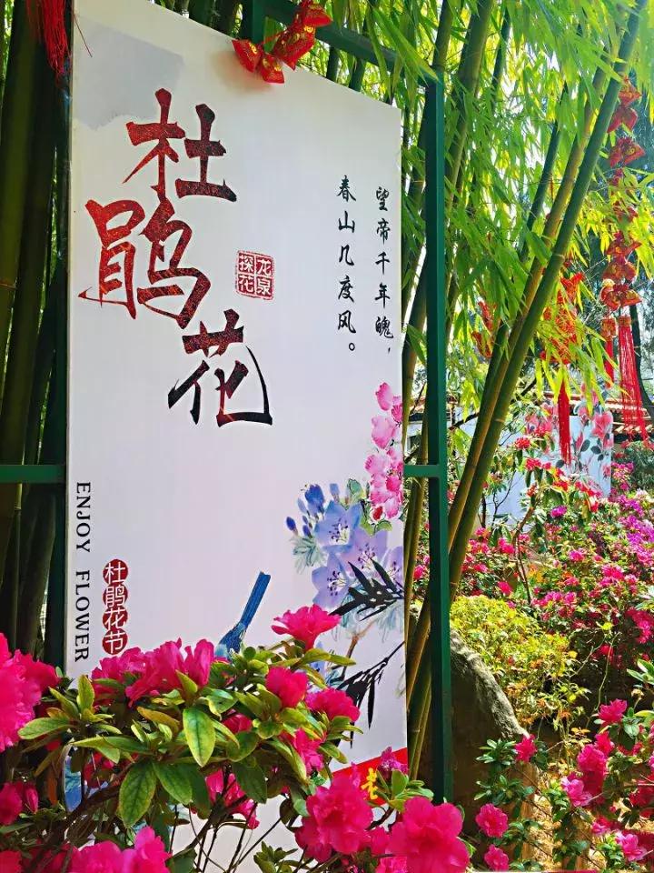 昆明国庆假期自驾游攻略,五一昆明最适合去的地方