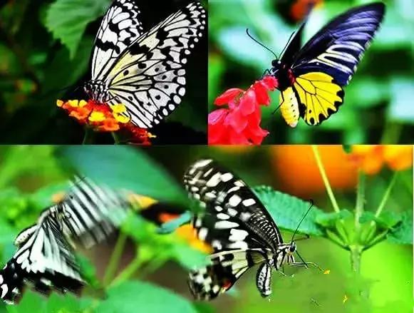 昆明国庆假期自驾游攻略,五一昆明最适合去的地方