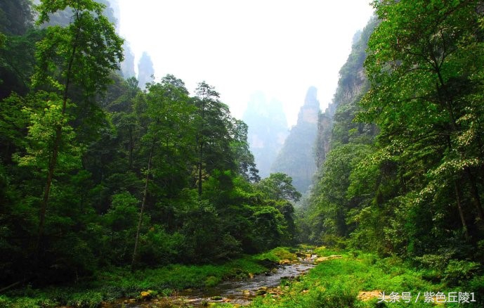 中国最美溪流,中国最美的河流