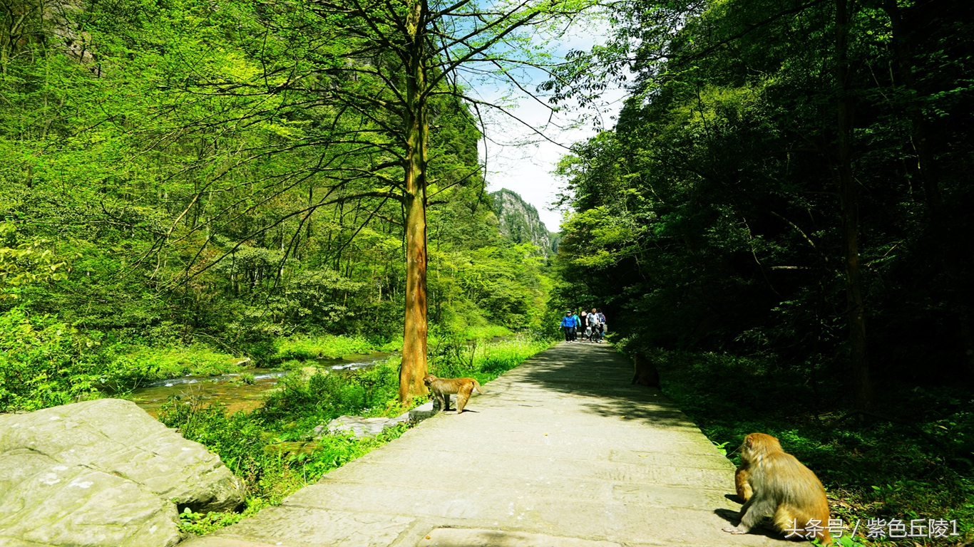 中国最美溪流,中国最美的河流