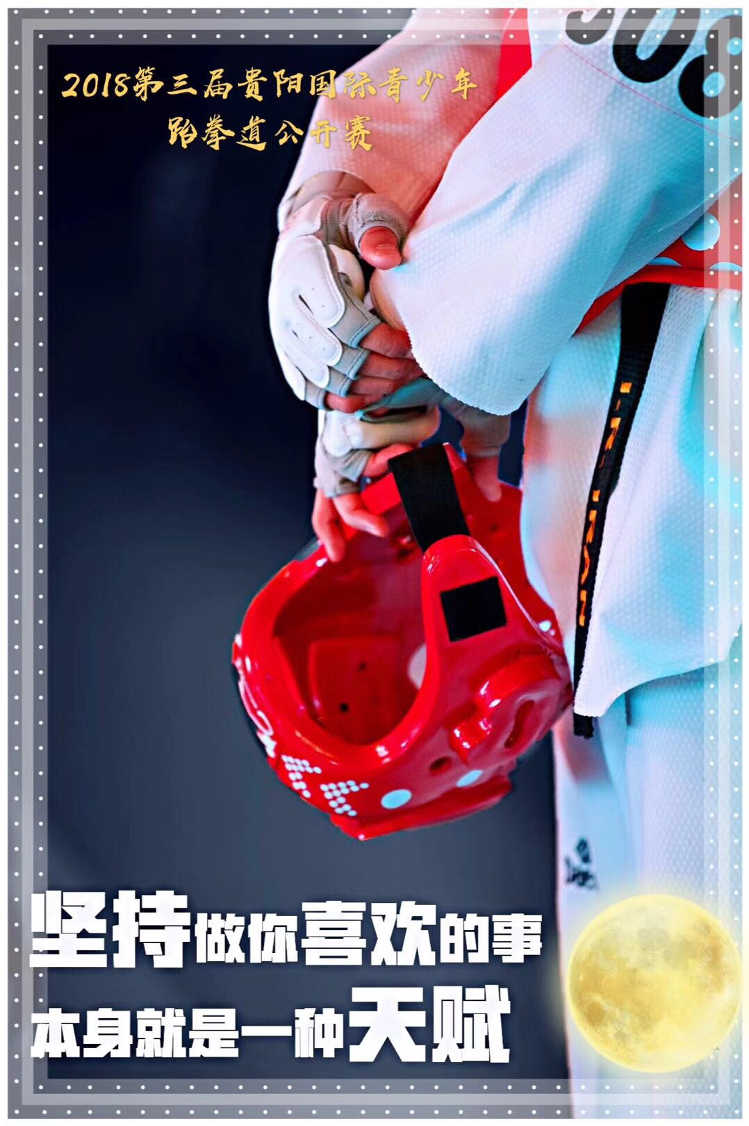 贵州跆拳道大师,国际跆拳道大师