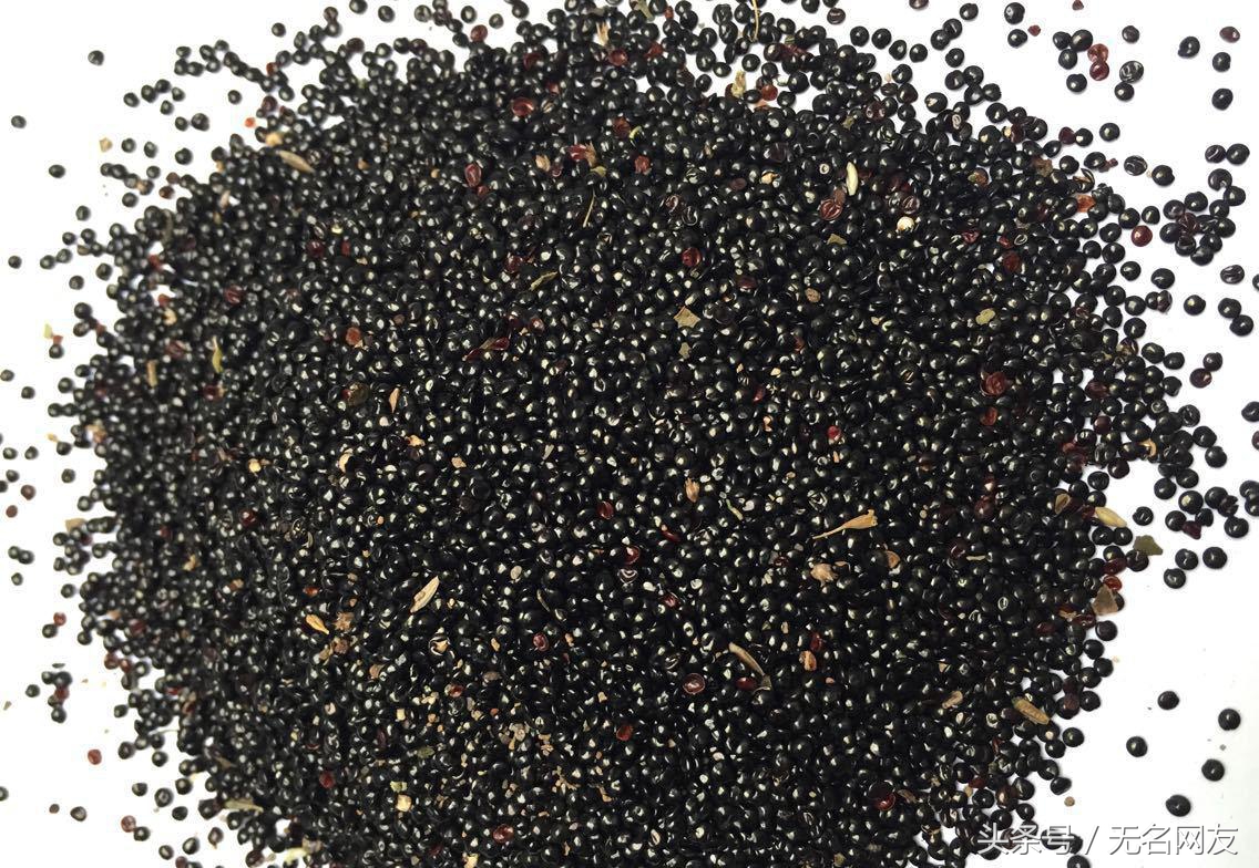 鸡毛掸子的功效,鸡毛掸子的药效