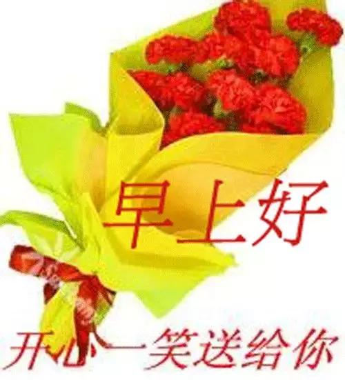 早上好祝你生活美好,早上好祝你新的一年幸福美满