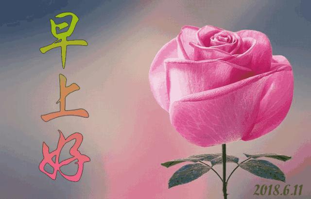 早上好祝你生活美好,早上好祝你新的一年幸福美满