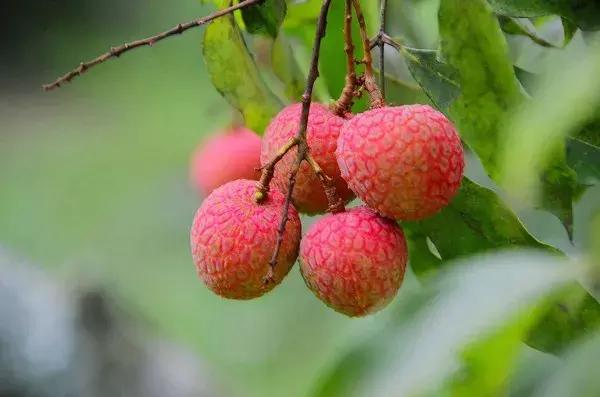 又是全新的一天,新的心情!(06月11日周一早晨)