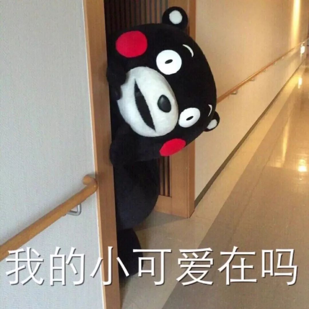 震惊正宗海参竟卖这么低的价格,海参价格良心到爆