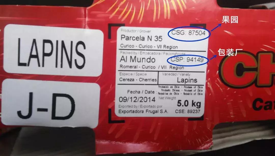 进口水果还让进口吗,你买到的苹果是真的吗