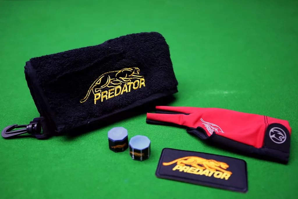 历届九球世界冠军,刘莎莎世界冠军视频