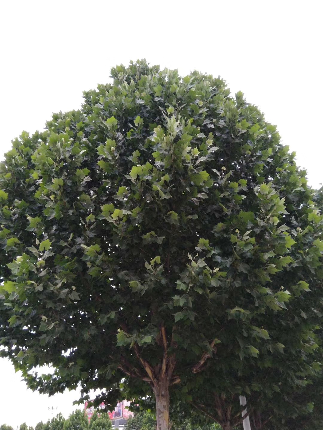 360n7深度测评,360n7手机有双系统吗