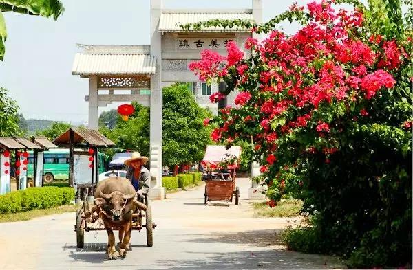 国庆福州飞哪里机票最便宜,十二月去哪机票最便宜
