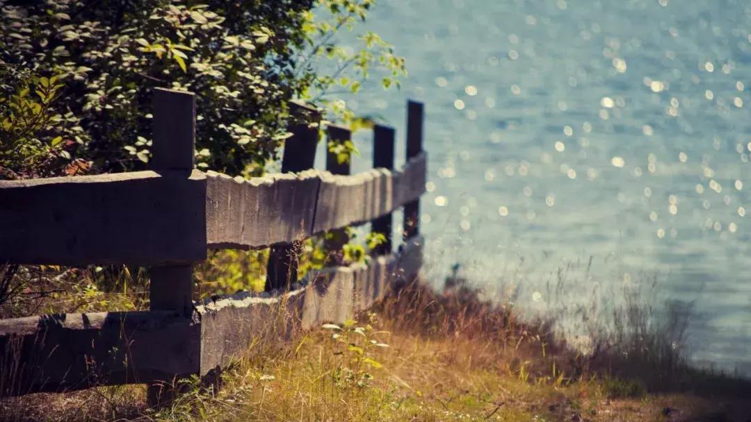 少年不识愁滋味为赋新词强言愁,少年不识愁滋味为赋新词强说愁