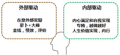 我在世界500强企业上班感慨,在500强企业工作学到什么