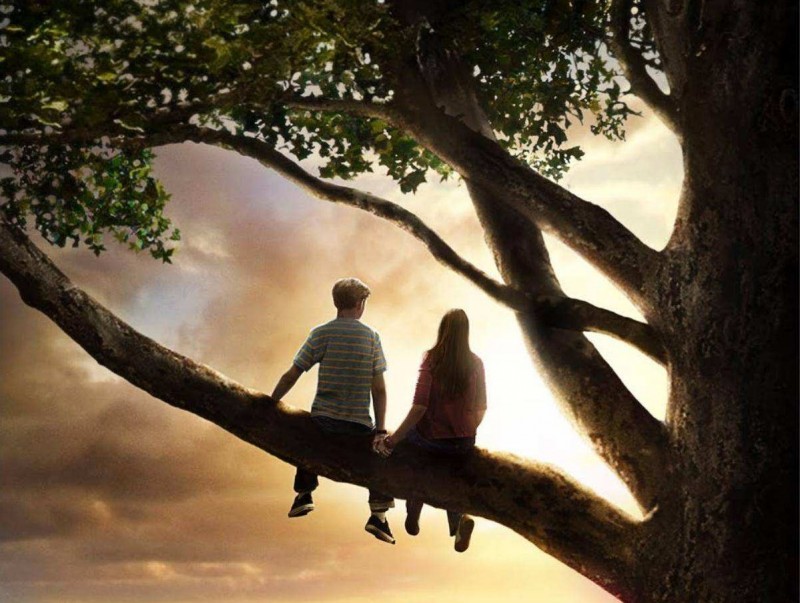 我在世界500强企业上班感慨,在500强企业工作学到什么