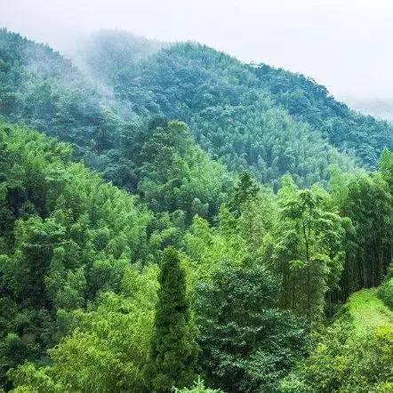 天气热有一地方却很凉快,夏天适合在大冰箱里避暑