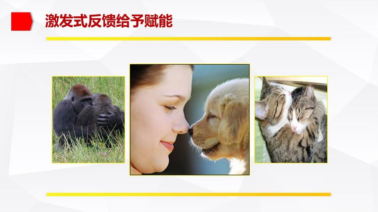 教练技法十四式,教练如何运用建设性反馈技巧