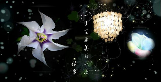 依米花是传说，还是真实存在？有图为证美到着迷！