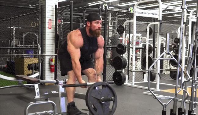 t杠划船什么动作可以代替,t杠划船练背用什么代替