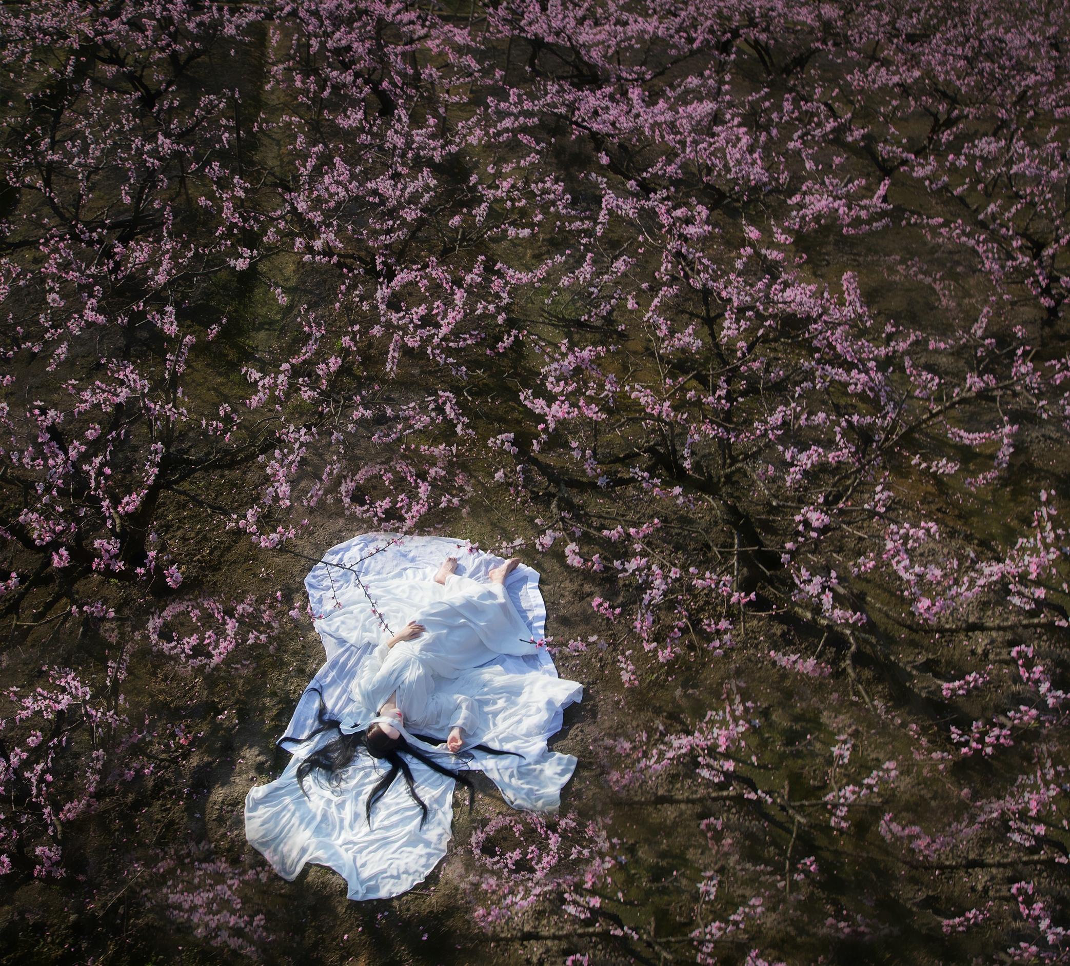 崔护与他的桃花缘 (崔护的桃花缘完整版)