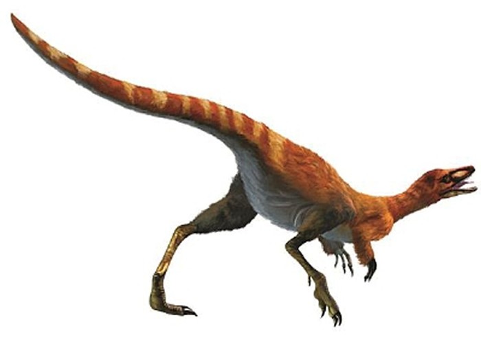 侏罗纪公园有多少只迅猛龙,侏罗纪系列迅猛龙进化史