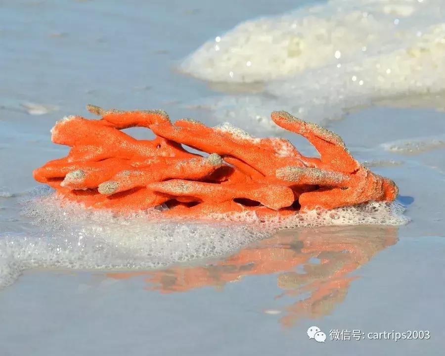 防晒霜为什么建议半年内使用完毕,防晒霜到底该不该用