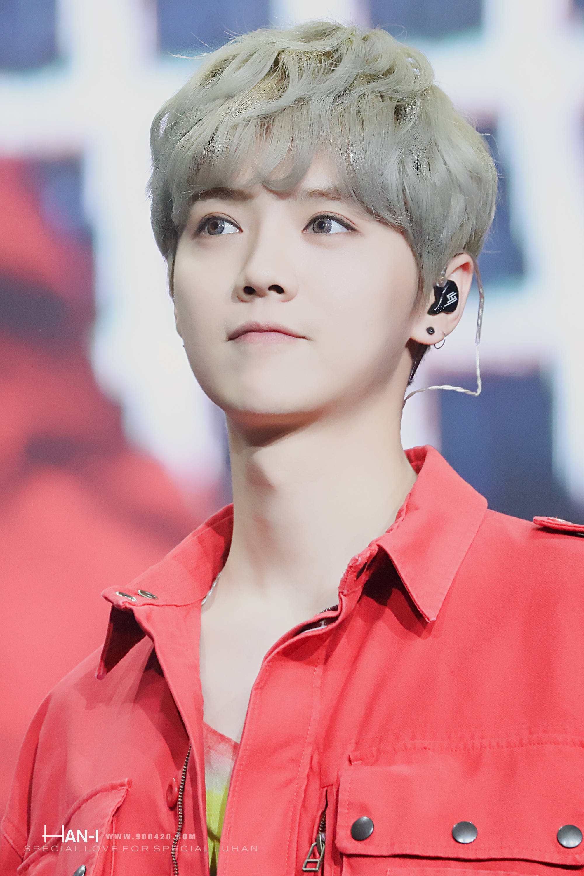 鹿晗世界杯解说,2022年卡塔尔世界杯冠军鹿晗