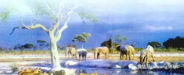 媛媛妈教语文：人教版五年级语文下册第八单元知识点