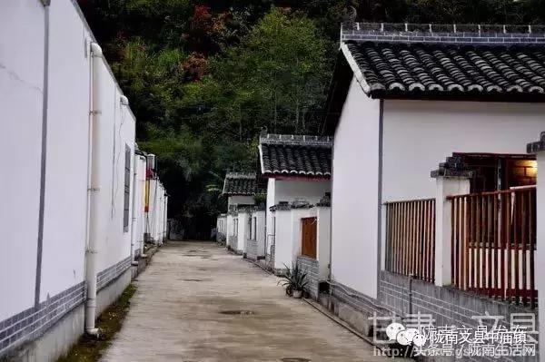 「白马情·天池美」脱贫攻坚战中崛起的木家坝村