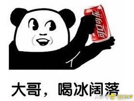 开罗游戏冠军物语,开罗游戏足球俱乐部物语中文版