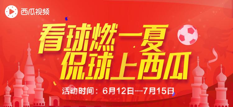 看球世界杯,看球世界杯赛