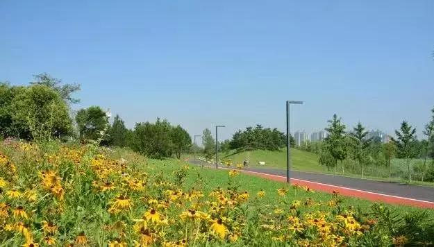 在跑道上尽情挥洒汗水,在运动场上肆意挥洒汗水