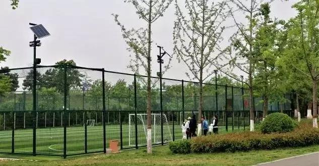 在跑道上尽情挥洒汗水,在运动场上肆意挥洒汗水