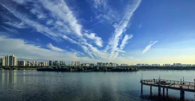 在跑道上尽情挥洒汗水,在运动场上肆意挥洒汗水