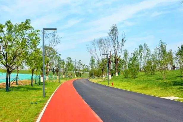 在跑道上尽情挥洒汗水,在运动场上肆意挥洒汗水