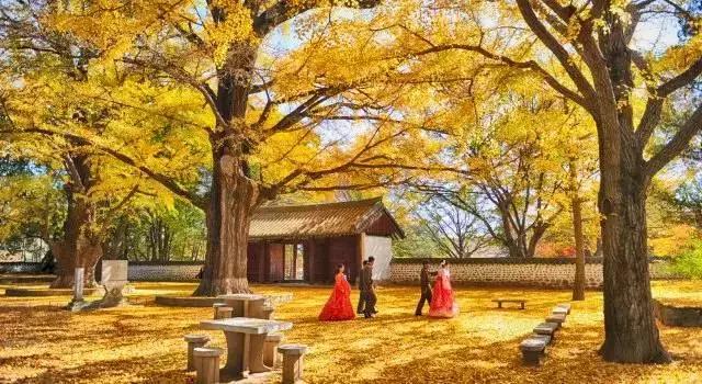 出国旅游能坐火车的国家,现在南昌人可以坐火车去广州吗