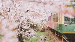 出国旅游能坐火车的国家,现在南昌人可以坐火车去广州吗