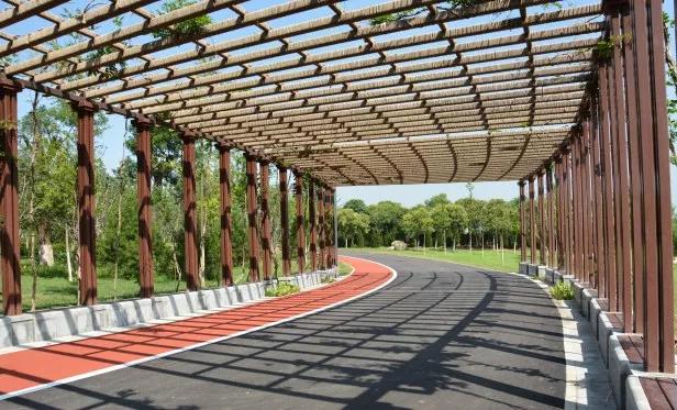 在跑道上尽情挥洒汗水,在运动场上肆意挥洒汗水