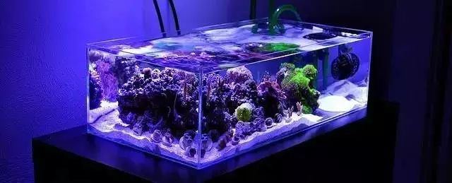 给所有朋友的忠告,给大家的五点忠告人生感悟