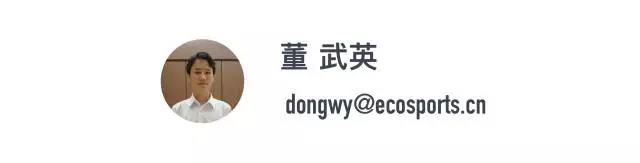 一只吉祥物,世界杯吉祥物杭州造