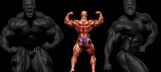 肩部肌肉主要有哪些,肩部的所有肌肉