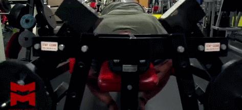 肩部肌肉主要有哪些,肩部的所有肌肉