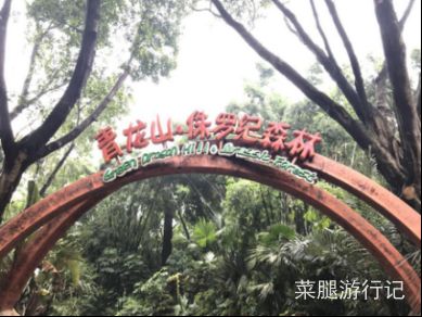 广州长隆野生动物园地址,广州长隆野生动物园打卡文案