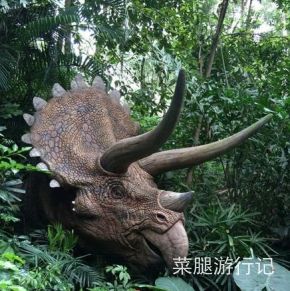 广州长隆野生动物园地址,广州长隆野生动物园打卡文案